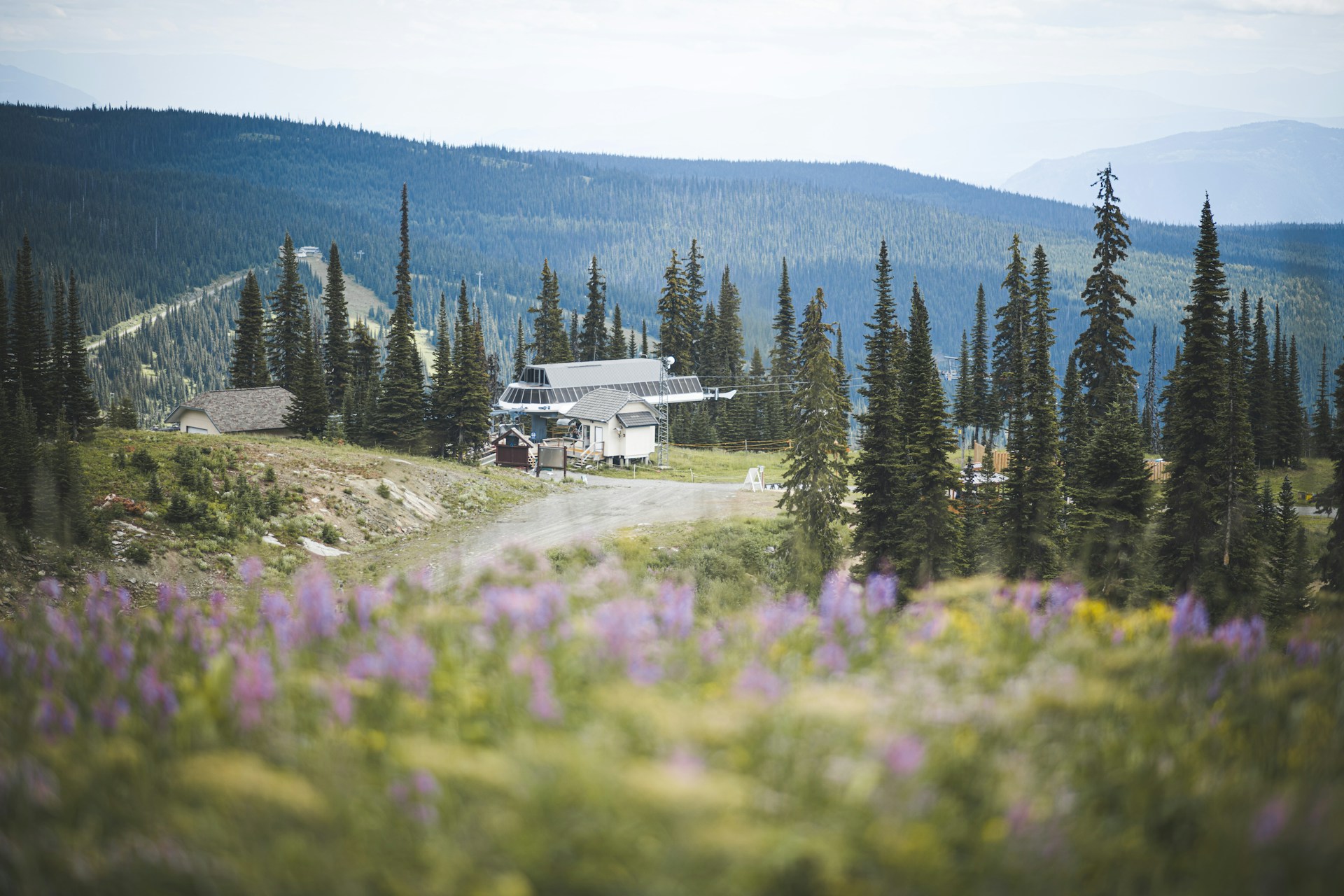 Sun Peaks image 7